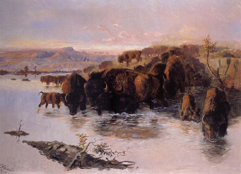Charles M Russell The Buffalo Herd France oil painting art